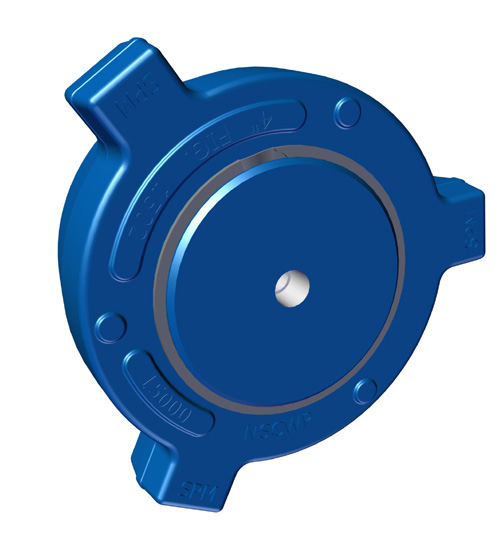 Gauge Plugs